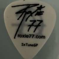 2020 - Ryan Roxie Concert Used / Front